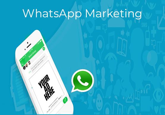 whatsapp marketing services